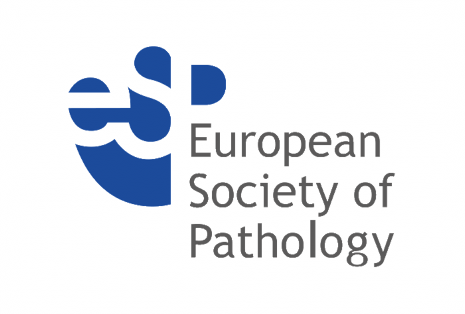 European society. EFC европейское общество. European Society of Urology Guidlines. European Congress of Radiology 2024.